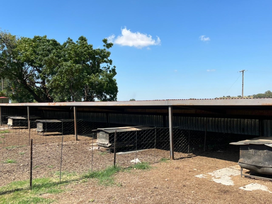 5 Bedroom Property for Sale in Brandfort Rural Free State